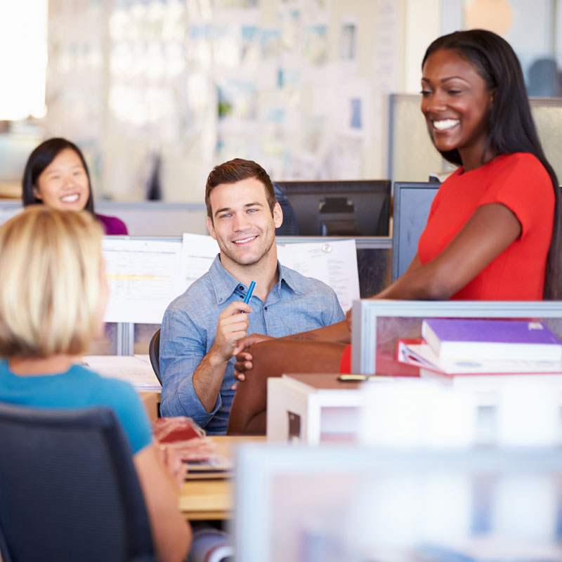 Staff in the office